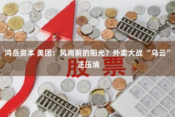鸿岳资本 美团：风雨前的阳光？外卖大战 “乌云” 正压境
