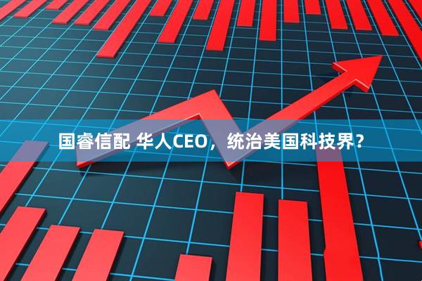 国睿信配 华人CEO，统治美国科技界？