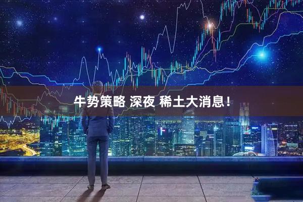 牛势策略 深夜 稀土大消息！