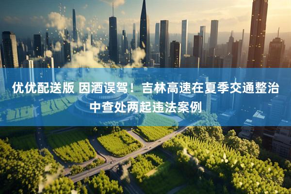 优优配送版 因酒误驾！吉林高速在夏季交通整治中查处两起违法案例