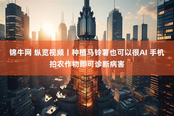 锦牛网 纵览视频丨种植马铃薯也可以很AI 手机拍农作物即可诊断病害
