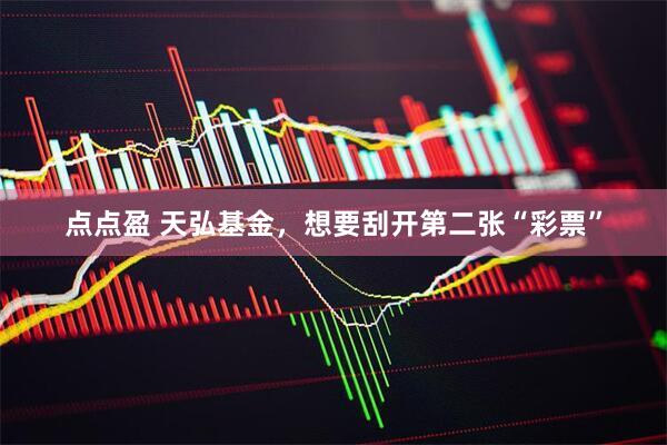 点点盈 天弘基金，想要刮开第二张“彩票”