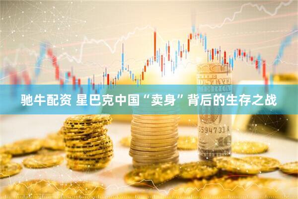 驰牛配资 星巴克中国“卖身”背后的生存之战