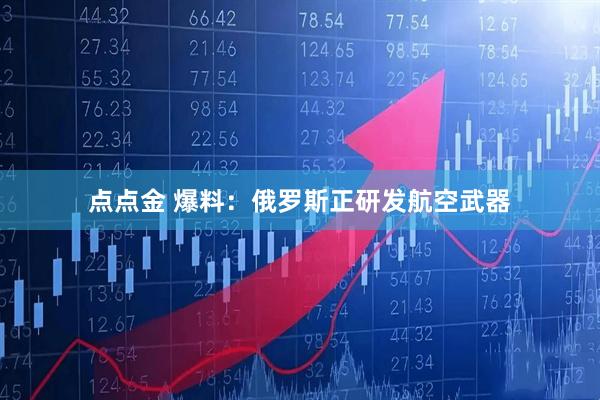 点点金 爆料：俄罗斯正研发航空武器