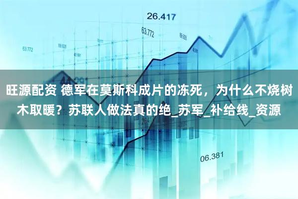 旺源配资 德军在莫斯科成片的冻死，为什么不烧树木取暖？苏联人做法真的绝_苏军_补给线_资源