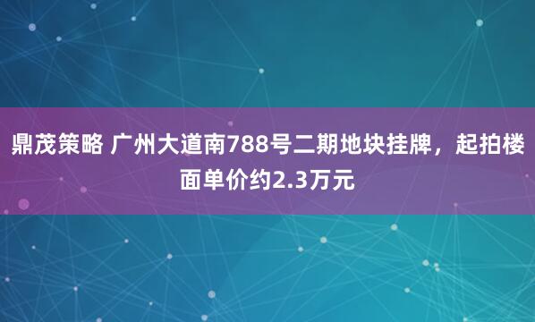 鼎茂策略 广州大道南788号二期地块挂牌，起拍楼面单价约2.3万元