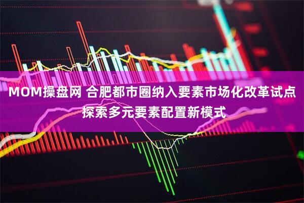 MOM操盘网 合肥都市圈纳入要素市场化改革试点 探索多元要素配置新模式