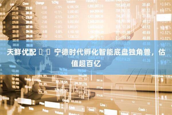 天鲜优配 ​​宁德时代孵化智能底盘独角兽，估值超百亿