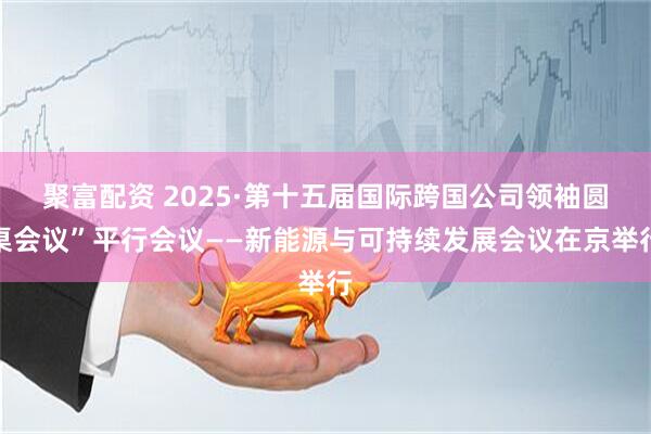 聚富配资 2025·第十五届国际跨国公司领袖圆桌会议”平行会议——新能源与可持续发展会议在京举行
